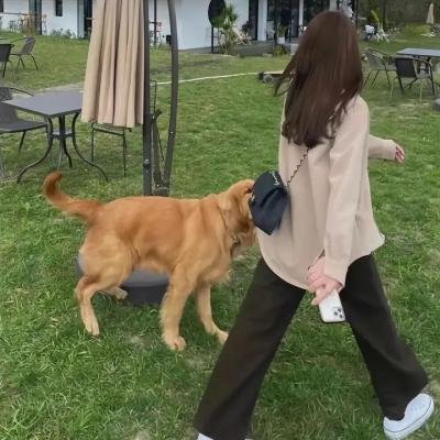 人间好汉
