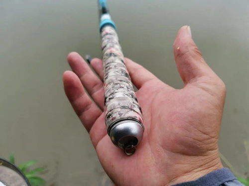 3.9米鱼竿推荐 3.9米鱼竿推荐手感好一点