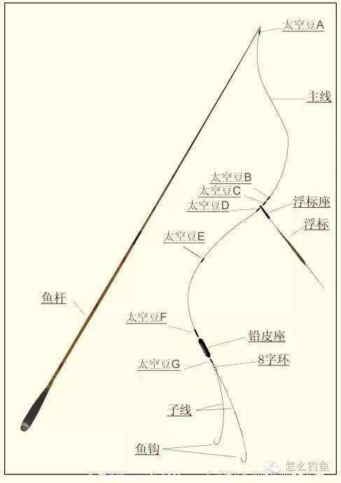 钓鱼竿怎么组装 钓鱼竿怎么组装的(钓鱼竿收线盘怎么操作)