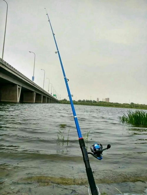 怎么使用海竿钓鱼 怎么使用海竿钓鱼视频