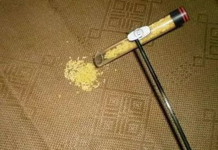 最先进的钓鱼工具 最先进的钓鱼工具有哪些
