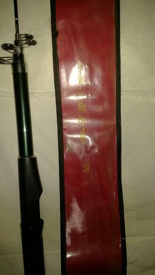 带视频的鱼竿多少钱一个 鱼竿普通的多少钱一