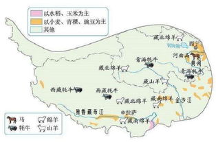 绿洲农业和河谷农业,我国西北地区和青藏地区的特色农业方式