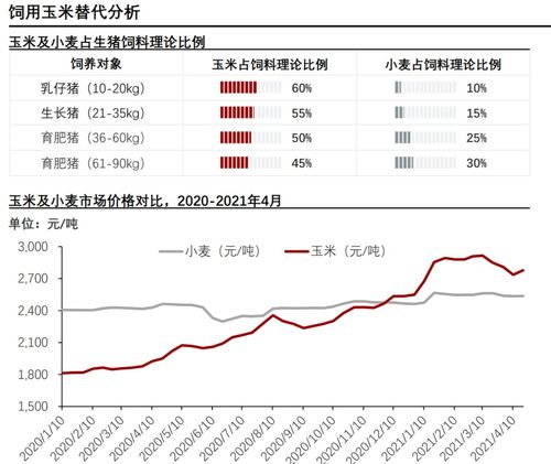 青小麦做饲料的背后 我们应该关注什么