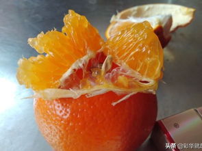 武鸣这种表面发白的柑橘,和沃柑相比,哪个更美味