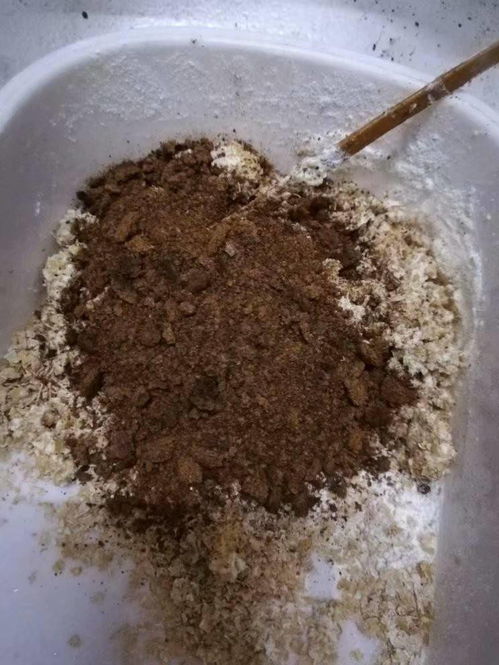 颗粒饵和菜籽饼打窝有什么优势,你喜欢哪种窝料呢