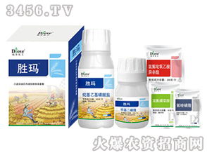 小麦除草剂推荐