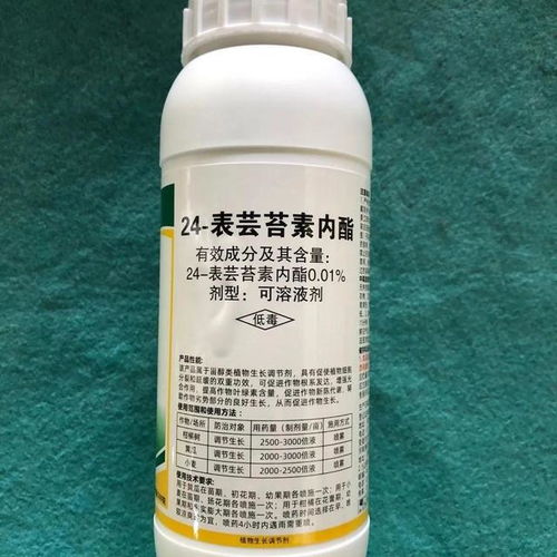 芸苔素使用禁忌