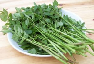怎么炒芹菜好吃又简单 芹菜和什么凉拌好吃