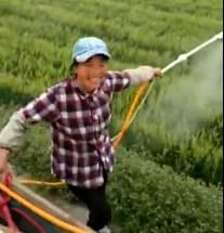 吡唑醚菌酯,凭啥恁牛气 用途太广,不得不服