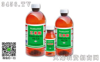 影响乙草胺除草效果的因素有哪些