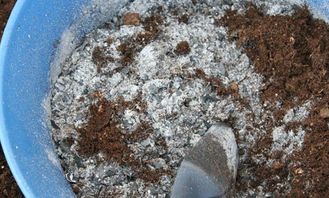 你倒掉的是草木灰吗 不,你倒掉的都是钱啊