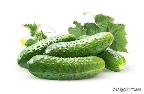 水果黄瓜和普通黄瓜有什么区别,您知道吗