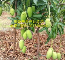 黄页88高清图片
