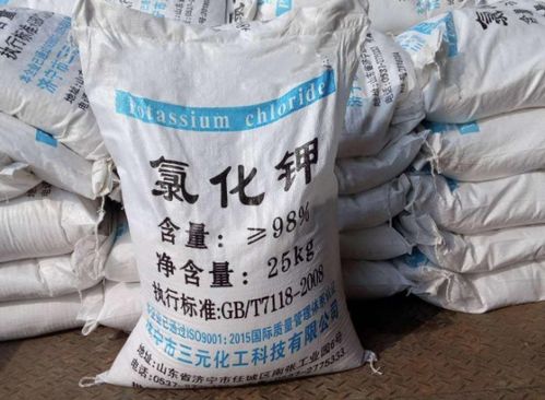 忌氯果树有哪些