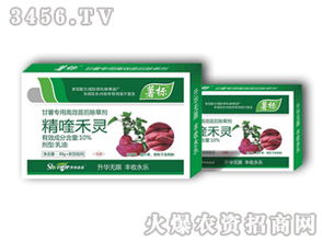 甘薯苗后除草剂