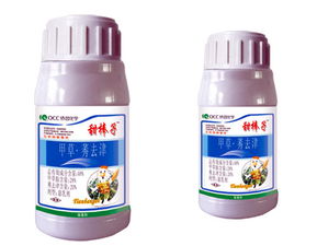 昭通农业信息网