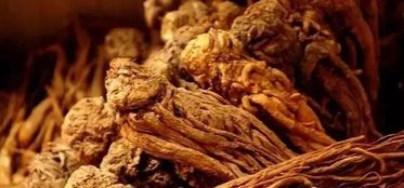 当归不能和什么一起吃 当归不适合什么人吃 当归产地哪里的最好