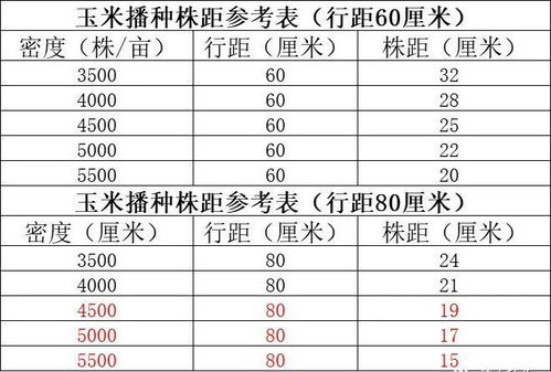 玉米播种,株距多远,产量最好 看这张表
