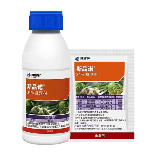 干货来啦 草莓移栽前后的注意事项