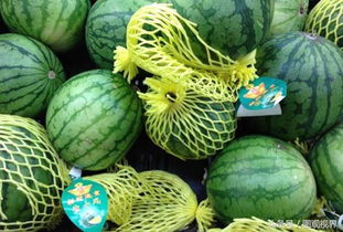 10种西瓜品种一览,你吃过哪种呢