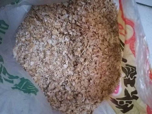 颗粒饵和菜籽饼打窝有什么优势,你喜欢哪种窝料呢