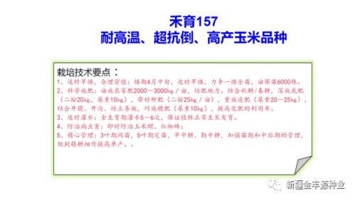 2023审定耐高温 超抗倒 高产玉米品种禾育157