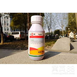 【红薯田除草剂能用什么_栽红薯的除草剂_有专用红薯除草剂】-黄页88网