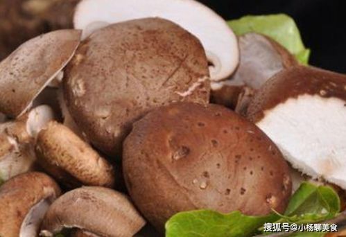 立春后,常吃香菇,身体好,老得慢,但切忌与此物同食,容易腹泻 维生素