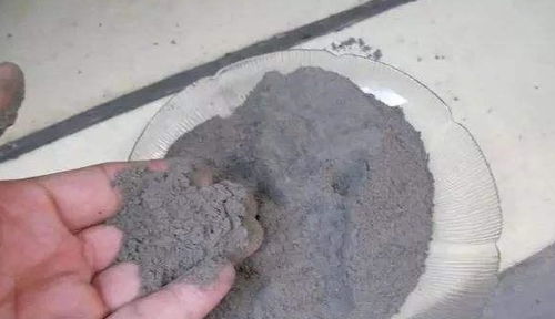 家里花越养越瘦弱 原来是方向错了,倒点灰进去比啥都强