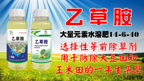 乙草胺除草剂使用范围 使用方法 注意事项