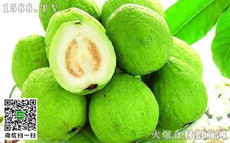 番石榴是什么水果 好吃吗 哪里的特产 什么季节成熟 怎么吃