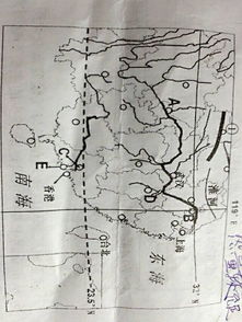 青藏地区的典型自然特征是什么 其农业分布在河谷的原因是什么