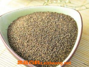 长期吃芹菜籽的功效与作用及副作用