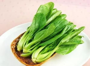 研高汤鸣皋老师慧心巧思,竟用青菜萝卜做紫砂壶
