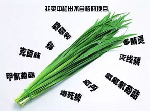 这道美味菜原来这么脏 涉8种农药 夏天好多人都爱吃