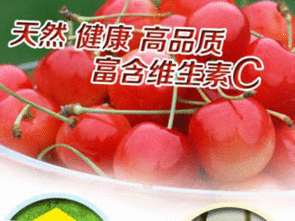 针叶樱桃粉