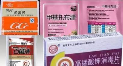 部分果园大旱有什么办法 南方果园积水了应该怎么办 百菌清 多菌灵 甲基托布津这三种杀菌剂有啥区别