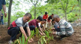 罗甸县勇进村 提升集体经济实力,打造药材种植大村