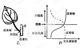 请回答下列有关植物激素的问题