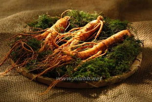 很多生物在外形上都具有明显的适应环境的特征,在这方面有很多
