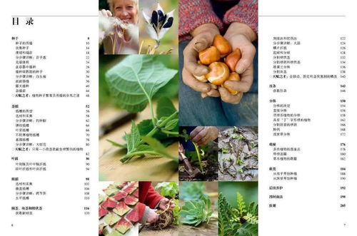 她实现园艺自由,没花一分钱
