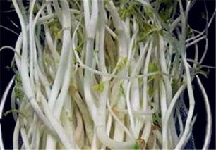 追肥的方法 最佳时间 土流网