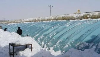 下雪了,农村蔬菜大棚怎么避免雪灾 临淄人都看看