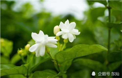 长期不换微信头像的人,往往是这3种性格