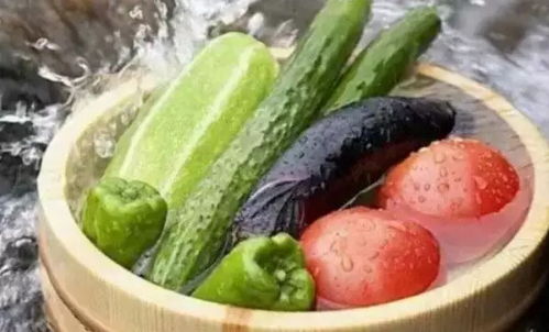 你真的会洗菜吗 吃得放心从洗干净开始