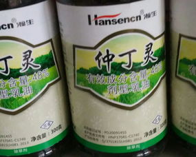 大豆田用什么除草剂 具体怎么使用