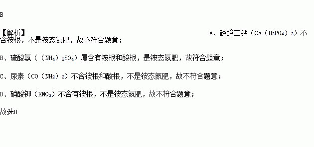 下列化肥属于铵态氮肥的是