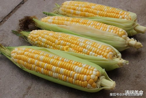 煮嫩玉米,很多人忽略了这2步,难怪不黏不香甜,正确做法在这里 白醋