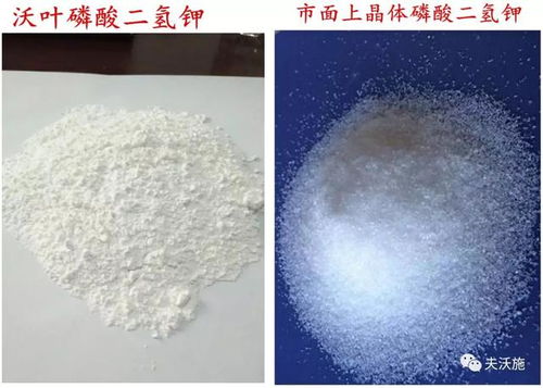 磷酸二氢钾过量的症状图片
